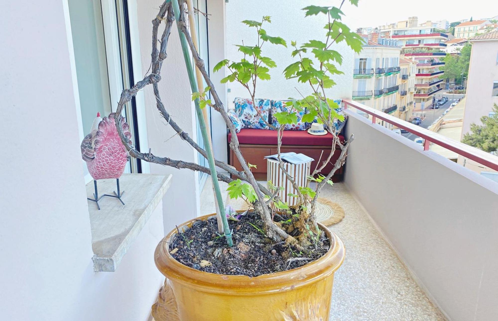 Appartement Le Charme De